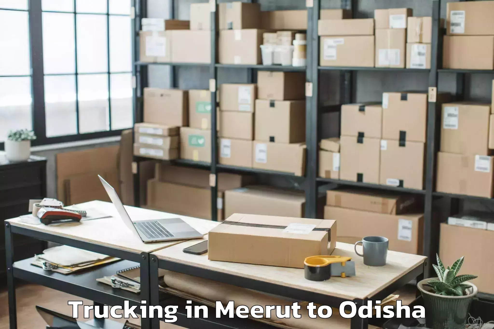 Quality Meerut to Bansada Trucking